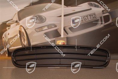 Air inlet grille, centre, C4S