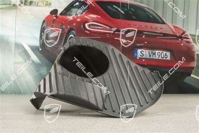 Abdeckung Verkleidung Bremskraftverstärker, Satinschwarz