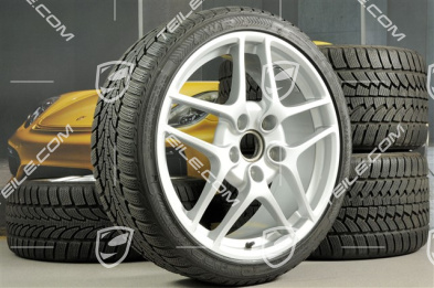 19-inch Carrera S II winter wheels, wheels: 8J x 19 ET57 + 11J x 19 ET67, Nokian WR winter tyres 235/35 R19 + 295/30 R19, without TPMS