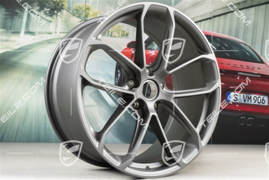 22" GT Design Felge 10J x 22 ET48, Platinum Seidenmatt