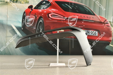 Osłona wlotu powietrza, GT4, L