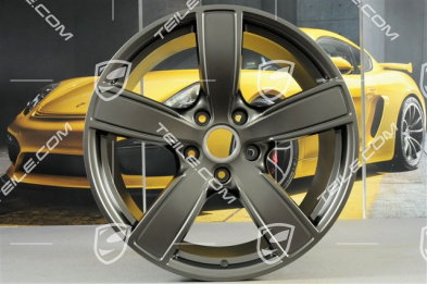 20-inch wheel rim set Carrera Sport, 11,5J x 20 ET76 + 8,5J x 20 ET49,, Platinum satin-mat