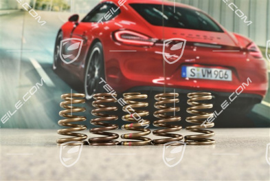 Sprężyna zaworu wydechowego M96.03 / 05, M97.01 / 20 / 21 / 22