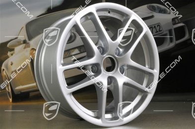 17-inch Cayman wheel, 8J x 17 ET40