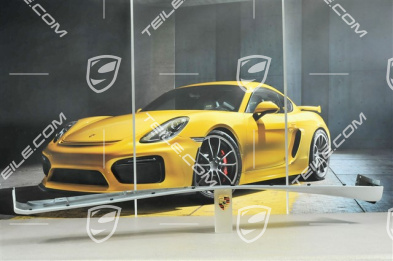 Osłona progu, Aerokit "Turbo" / Aerokit "Carrera 4S", L