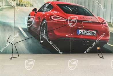 Brake line, C4 / C4S / GTS / Turbo