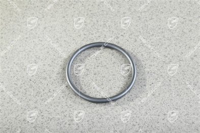 Uszczelka / Oring, 4,2L Diesel