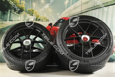 20"+21" Carrera GTS Winterrädersatz mit Zentralverschluss, Felgen 8,5J x 20 ET50 + 11J x 21 ET82 + NEUE Michelin Winterreifen 245/35 R20 + 305/30 R21, mit RDK-Sensoren, Antrazitgrau
