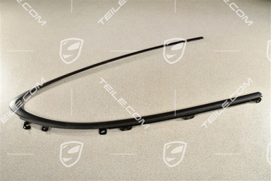 Moulding, Door channel, incl. sealing, rear, Black, R