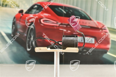 Microphone, Voice control, system ASK