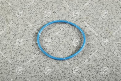 O-Ring, Kraftstoff Hochdruckpumpe O-Ring, Kraftstoff Hochdruckpumpe
