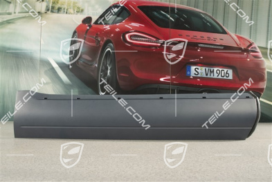 Listwa drzwi tylnych, Pakiet Czarne Aluminium, (z pakietem Aerokit z progami), R