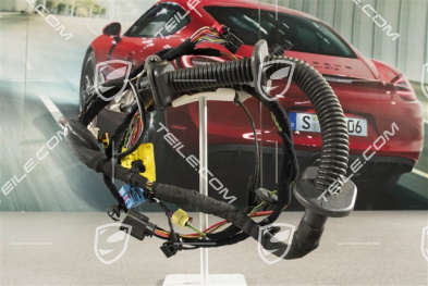 GT4, Wiązka instalancji elektrycznej drzwi pasażera, L