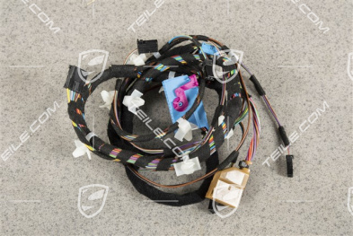 Wiring harness, Assembly frame, driver's door, Spyder, L