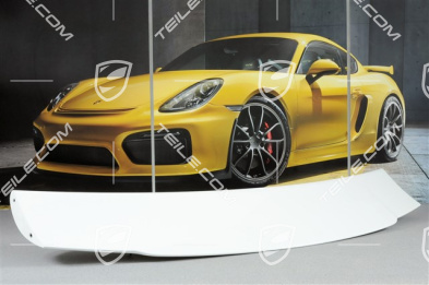 GT3 Heckspoiler / Heckflügel, Oberteil