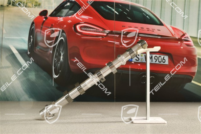 GT3 / GT3 RS, Nockenwelle, Auslass, Zyl.1-3