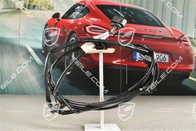 Wiring harness rear, parking sensors