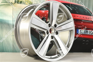 22-inch wheel rim, Exclusive Design Sport, 11,5J x 22 ET52, Platinum Silver