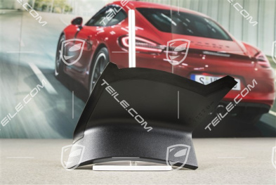 Rear light cover, outer, R