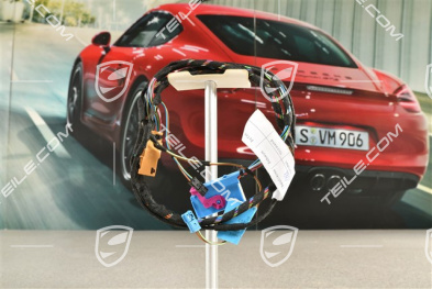 Wiązka elektryczna, Rama montażowa, drzwi kierowcy, L