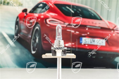 Halogen bulb H15 55W/15W