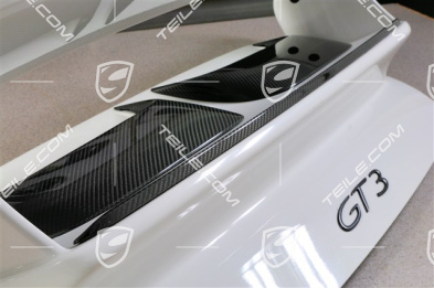 Prowadnice powietrza Carbon (Ram Air), Carbon z lakierem bezbarwnym, komplet (L+R)