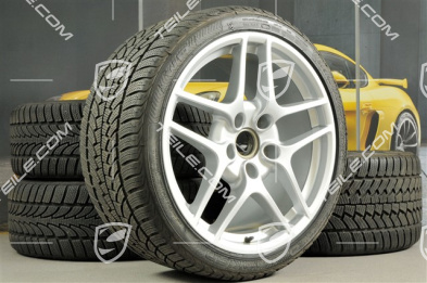 19-inch Carrera S II winter wheels, wheels: 8J x 19 ET57 + 11J x 19 ET67, Nokian WR winter tyres 235/35 R19 + 295/30 R19, without TPMS