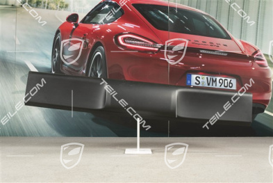 Verkleidung / Zierleiste Targa