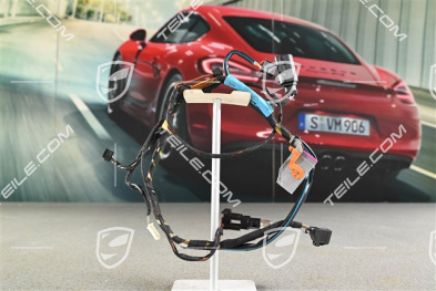 Wiązka elektryczna, drzwi kierowcy, L