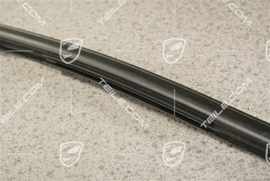 Windshield gasket, R