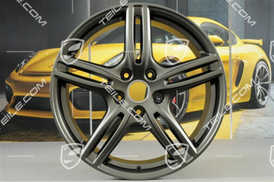 20" Felge Panamera Turbo, 9,5J x 20 ET71, in Platinum Seidenmatt