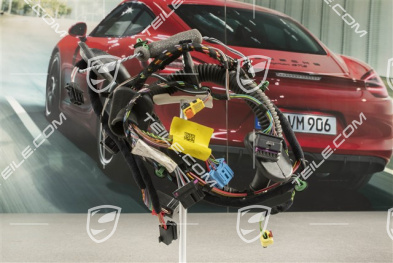 Wiązka instalancji elektrycznej drzwi pasażera, Burmester, R