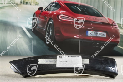 Wide Wheel Arch, rear, lacquered, R